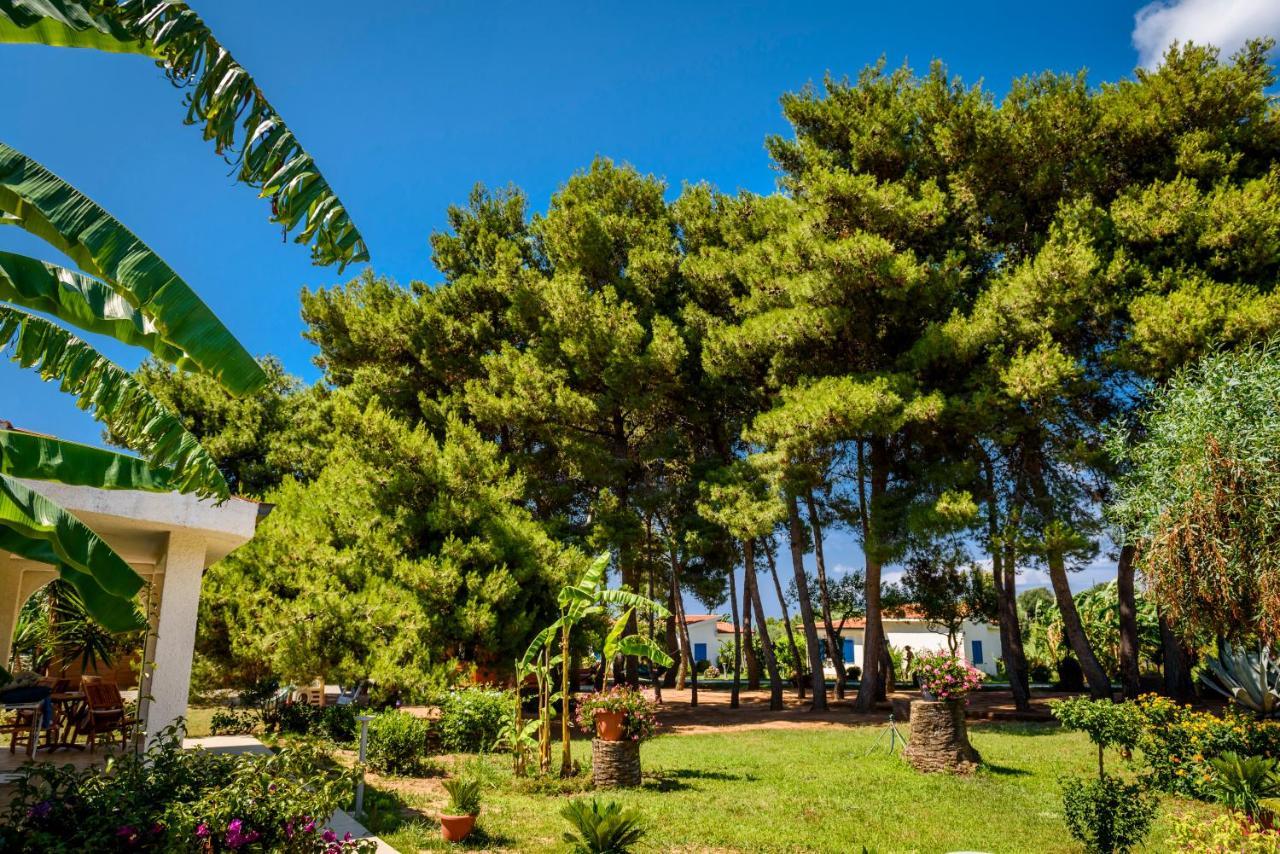 Tuisuneo La Conchiglia - Adults Only Hotel